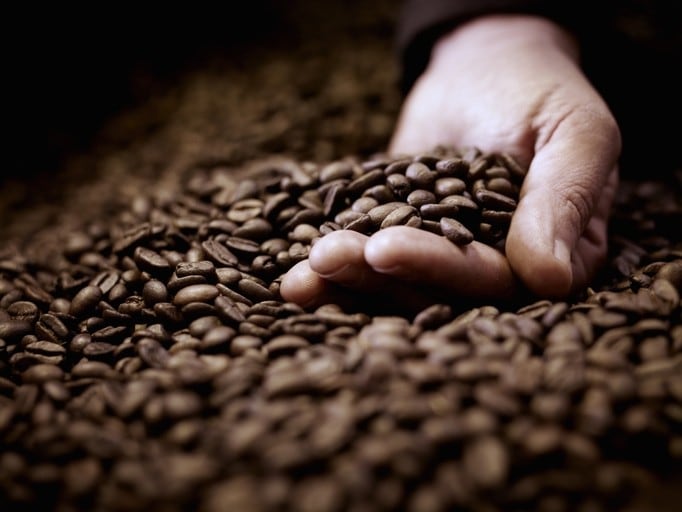 Ofi makes progress towards farmer sustainability goal