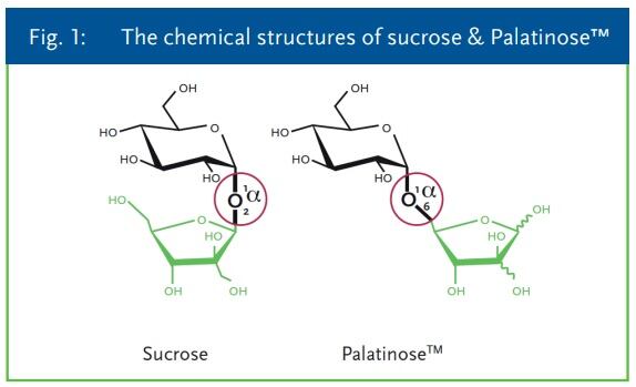 sucrose-palatinose-beneo.jpg