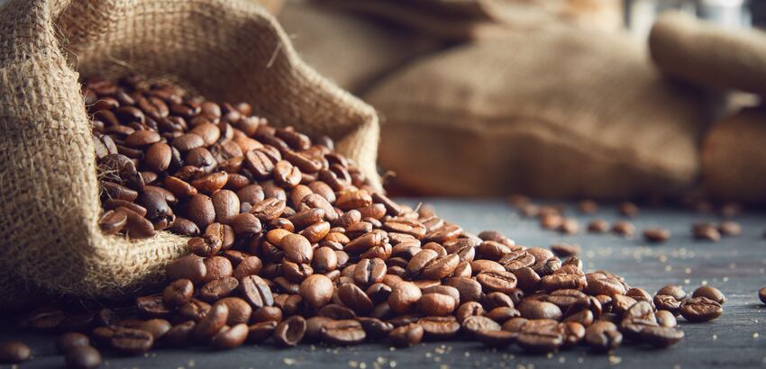 5 top trends in premium coffee innovation