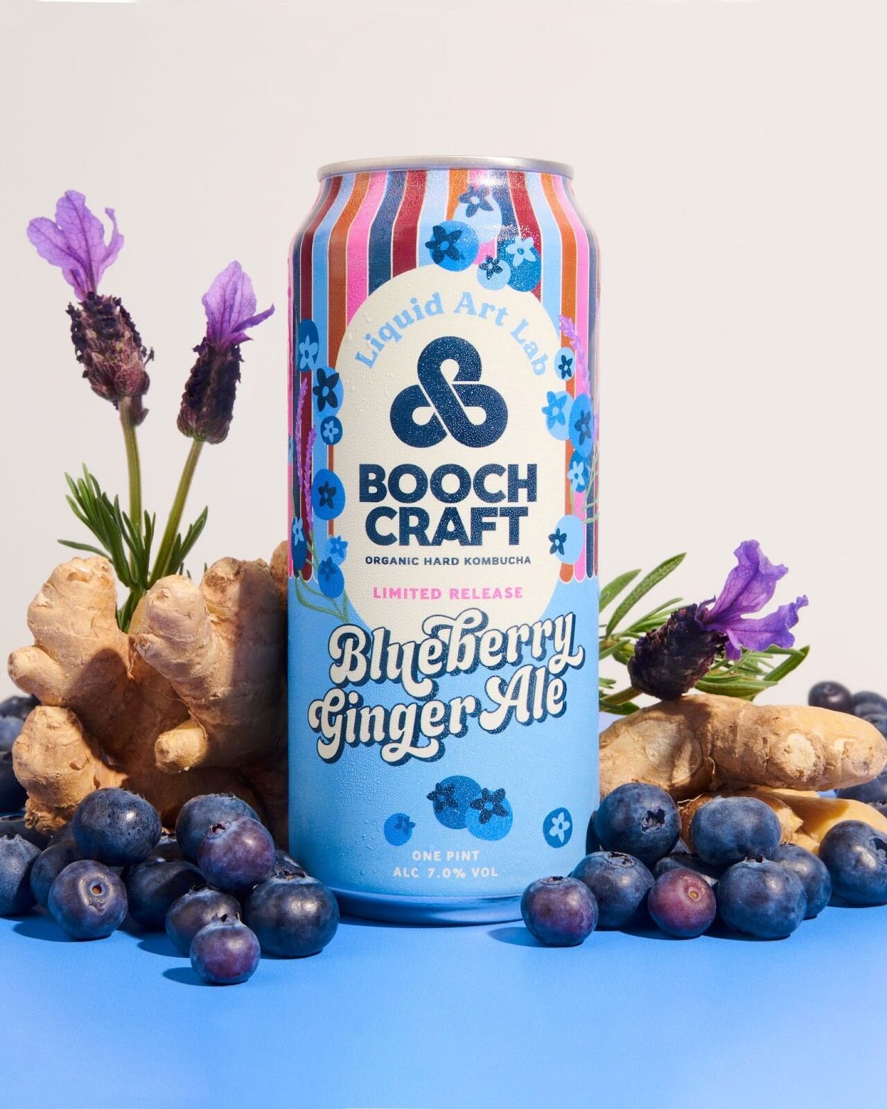 boochcraft-hard-kombucha.jpg