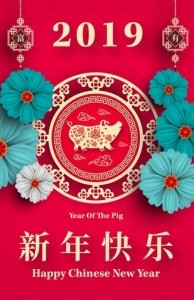 chinese new year 2019 year of the pig getty pattarasin