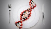 DNA-Plate_400x225