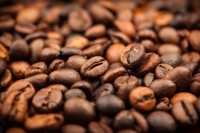 coffee beans brebca