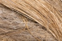 raw flax fiber getty lior2