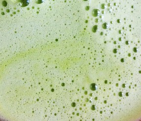 Bitter melon juice kills pancreatic cancer cells: US study