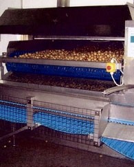 Potato blanching machine that caused the worker's injuries