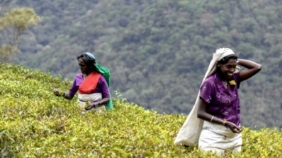 Adverse weather drives Sri Lankan tea prices higher