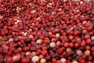 Cranberries: Bruce Foster/Flickr