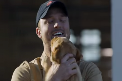 Budweiser beer wins Puppy Love, but digital 'tail could soon wag dog'
