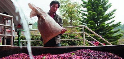 The Nescafé Coffee Center is located in Puer, the 'coffee capital of China.' Pic: Nestle