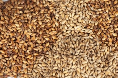CCB/Heineken sources 100% of its barley needs from barley farmers in Montana, according to the US Grains Council. ©GettyImages/rusak