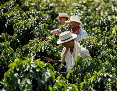Farmers and farm workers play a critical role in our food systems and should be recognised for their labour accordingly, believes Fairtrade. GettyImages/andresr