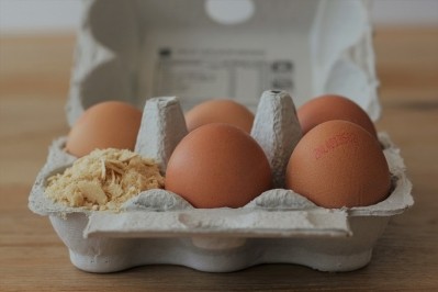 FUMI Ingredients has developed an egg white substitute made from yeast