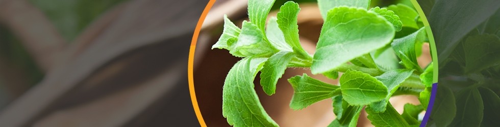 How a New Stevia Can Give Your Product the Competitive Edge