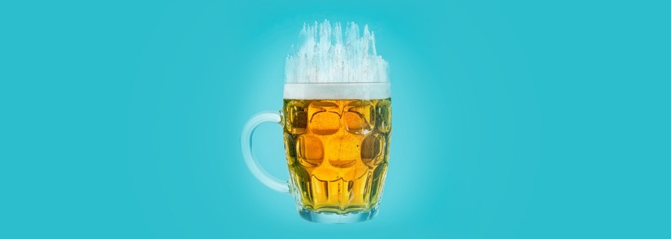 Molecular detection of spoilage bacteria in beer