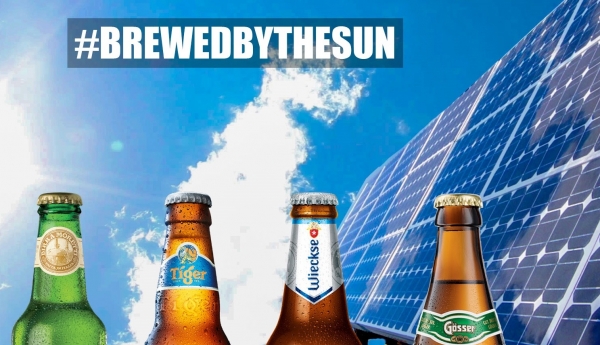 Brewed by the Sun family