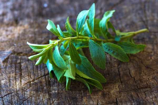 stevia leaf sweetener Crédits zeleno
