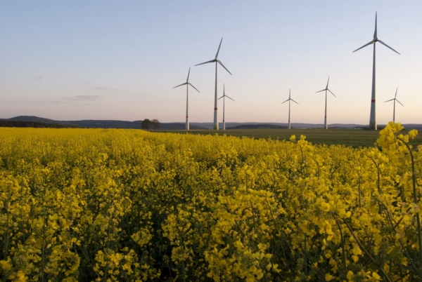 GettyImages-Micha Wold windmills wind turbines canola field carbon