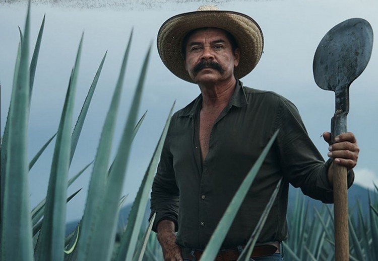 Jose Cuervo: ‘Prove you’ve got the passion and grit to become our next Don of Tequila'