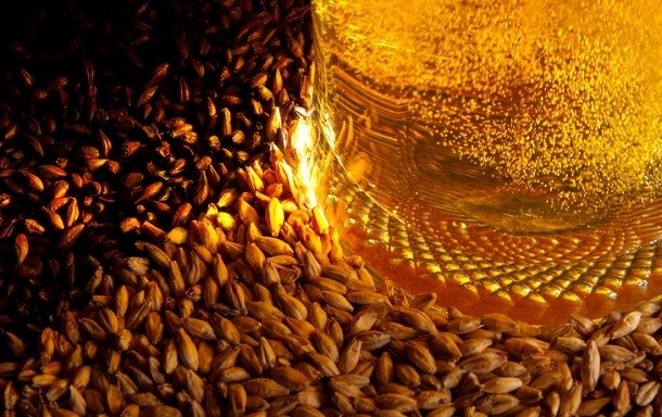 A percentage of study participants with celiac disease reacted strongly to a sample of gluten-removed beer. ©iStock/grekoff