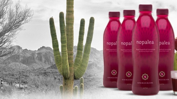 Cactus drink marketer to pay $3.5 million to settle FTC false advertising claims