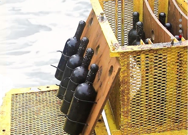 The winery submerges wine in Charleston Harbor