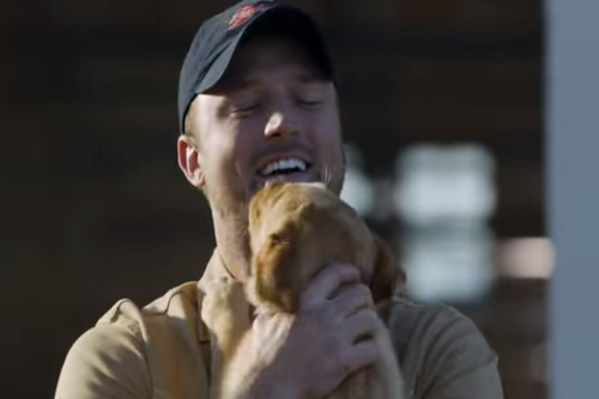 Budweiser's unashamedly sentimental 'Puppy Love' advert was the standout Super Bowl 2014 success