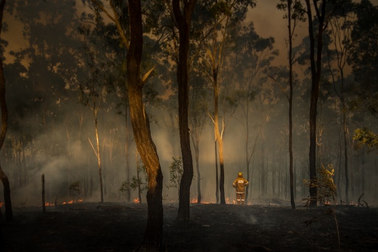 While the bushfire risk is far from over, the wine industry has started assessing the damage from smoke taint. Stock picture:getty/stuartshaw