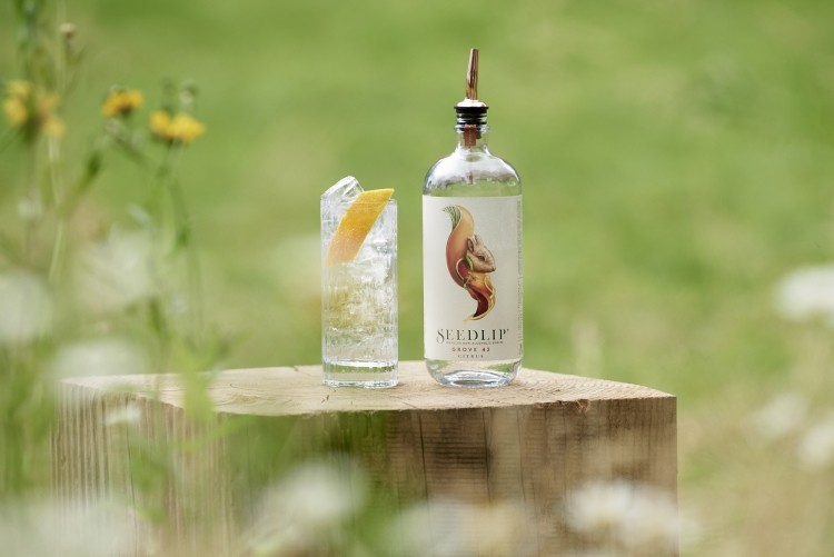 Seedlip eyes up global momentum for low to no alcohol drinks