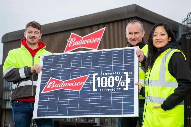 Budweiser to be brewed with solar power in the UK