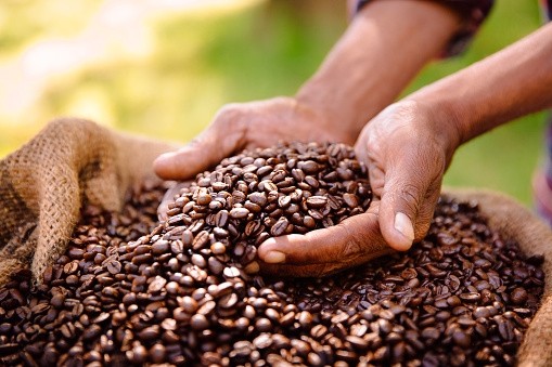 Nestle Malaysia has highlighted its ambitions to advance the domestic coffee sector by drilling down into local trends and improving crop yields via its NESCAFE Grown Respectfully sustainability strategy. ©Getty Images