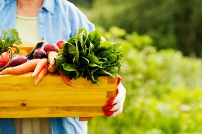 Cucumber, kale, beetroot, rhubarb... what's proving popular in vegetable ingredients? Pic: iStock