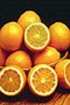 Citrovita and Citrosuco together are responsible for 25 per cent of all orange juice produced globally 