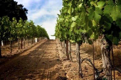 'Remind everyone why sustainability matters' - a top tip from Sonoma County. Pic: iStock
