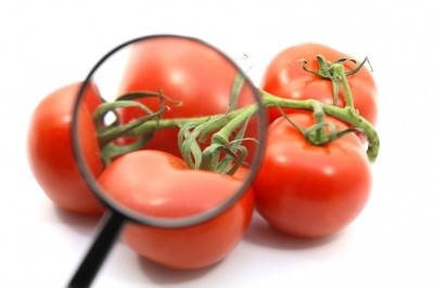 Organic tomato juice more ‘nutritious’ than conventional juice?
