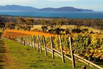 'This May, raise a glass' says the slogan for Aussie Wine Month. Pictured: Tasmania
