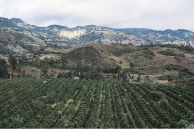 The first ECWx conference in Colombia taught local growers skills to help boost coffee quality. 