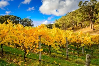 The Adelaide Hills wine region. pic: getty/moisseyev