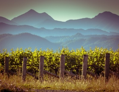 The Marlborough wine region in New Zealand. Pic:Getty/creativenaturenl