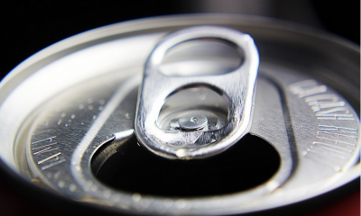 NTP draft report on potential health effects of BPA