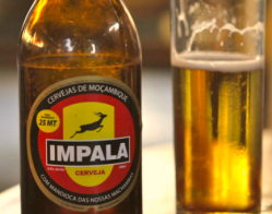 SAB Miller launched Impala, the first commercially produced cassava beer, in Mozambique last year