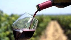 Researchers prescribe more red wine to give Kiwis immune boost