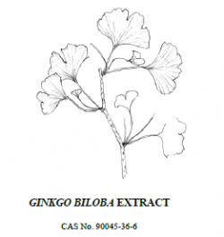 Not all ginkgo biloba extracts are created equal, according to the American Botanical Council (Picture Copyright: NTP report)