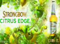 5. Strongbow Citrus Edge – March 2014 
