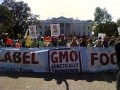 5 - GMO labeling: Right to know or bizarre new precedent?