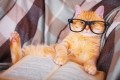 The news that cat-tured our readers' interest in April