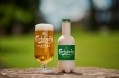 Carlsberg puts bio-based fibre bottle into its largest-ever trial